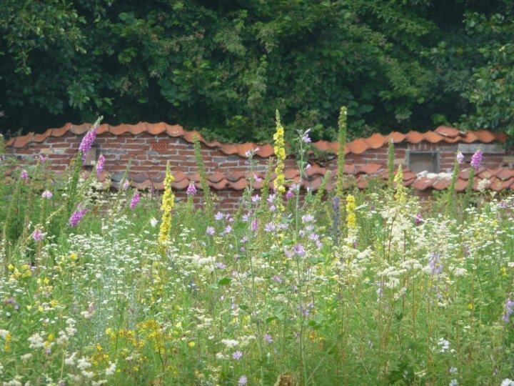 Bed En Breakfast Het Loo Bergeijk Εξωτερικό φωτογραφία